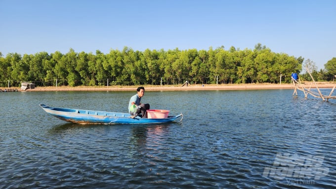 anh-3-142104_538-142106.jpg Thời tiết bước vào giai đoạn chuyển mùa, đây là một trong những yếu tố được ngành chuyên môn đánh giá tăng nguy cơ xảy ra dịch bệnh trên tôm nuôi. Ảnh: Kiều Trang.