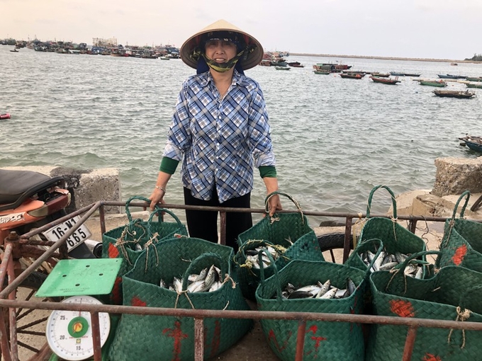 ca-noi-1-130919_335.jpg Việc khai thác cá nổi nhỏ chủ yếu dựa vào kinh nghiệm dẫn đến sản lượng khai thác không ổn định. Ảnh: Đinh Mười.
