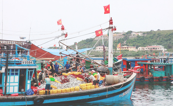 ca-noi-5-130827_526.jpg Khai thác cá nổi nhỏ ở Bạch Long Vĩ. Ảnh: Hoàng Minh.