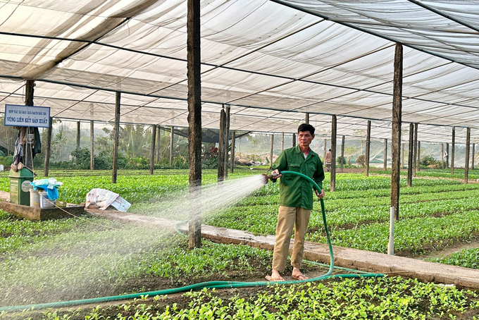 Ông Nguyễn Khắc Đạo, xã viên của HTX Tiền Lệ phấn khởi vì mô hình rau an toàn kiên trì canh tác đã giúp nâng cao thu nhập. Ảnh: Phương Thảo.