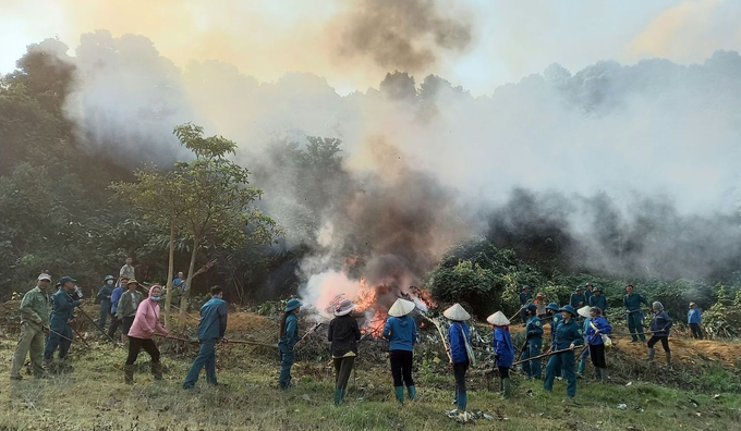 20231124_0956041-143208_751.jpg Diễn tập phòng chống cháy rừng tại xã Nậm Xe (huyện Phong Thổ, Lai Châu). Ảnh: T.L.