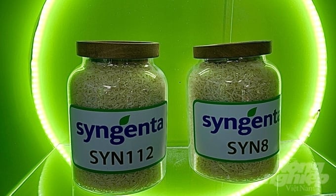 syn3-102703_124-102703.jpg