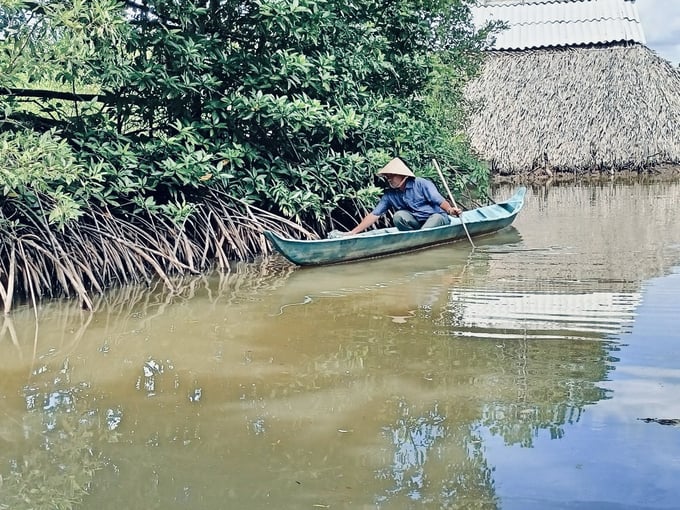 z4944964944915_886d97dee4b12f99d526e5cddcb7d58e-150318_595.jpg Ông Trần Minh Trí (ấp Tắc Biển, xã Viên An Ðông, huyện Ngọc Hiển) bên ao nuôi tôm sinh thái. Ảnh: Trọng Linh.