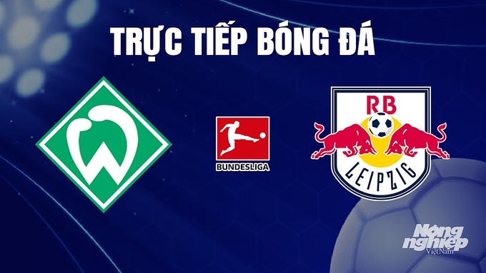 Trực tiếp bóng đá Bundesliga 2023/24 giữa Werder Bremen vs RB Leipzig hôm nay 20/12/2023
