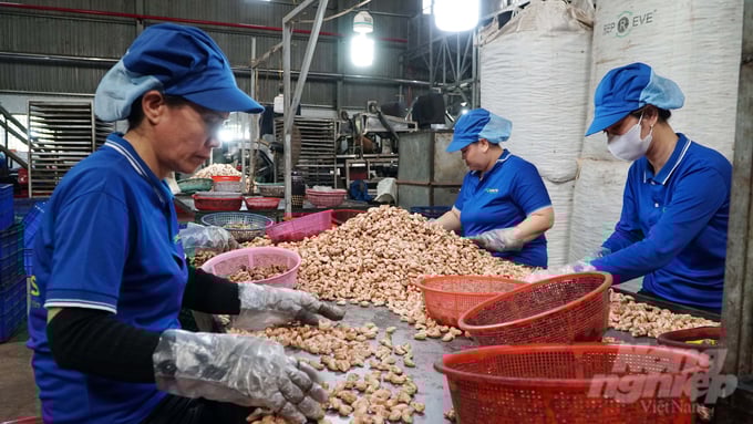 Với sự hỗ trợ của thiết bị máy móc, các công việc được xử lý trực tiếp bằng tay chân giảm đi đáng kể, giảm công lao động. Ảnh: Lê Bình.