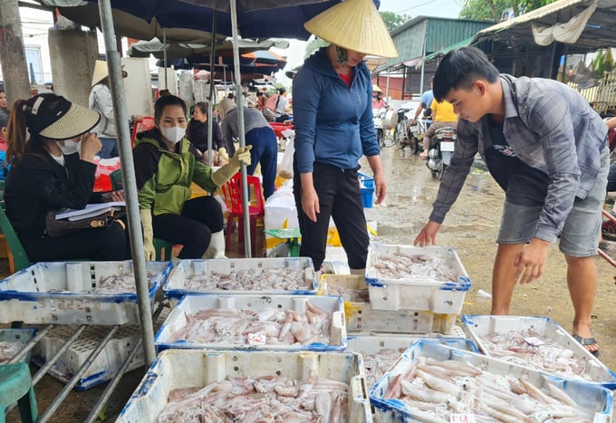 z4991068607290_1696719e829db47ad21076a04aa8e943-062426_892.jpg Thành quả thu về rất tích cực, đặc biệt trong bối cảnh nguồn lợi trên biển đang có dấu hiệu suy giảm nghiêm trọng. Ảnh: Việt Khánh.