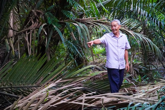 Ông Lâm Văn Huy chỉ về vị trí bị các đối tượng lạ đột nhập vào vườn bắn phá chim cò. Ảnh: Kim Anh.