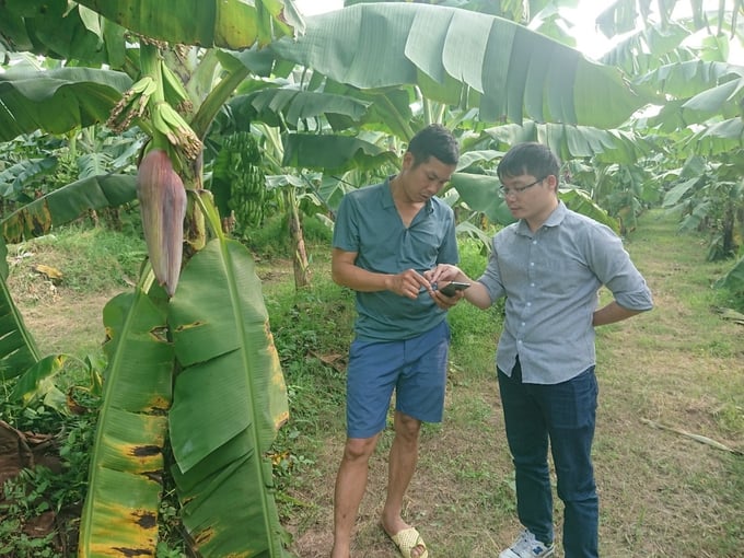 Theo dõi mô hình. Ảnh: Tư liệu.
