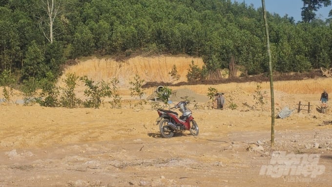 dat-rung-095420_268-095420.jpg Người dân bạt cả đồi để lấy đất nông nghiệp phục vụ san lấp trái phép. Ảnh: Xuân Quang.