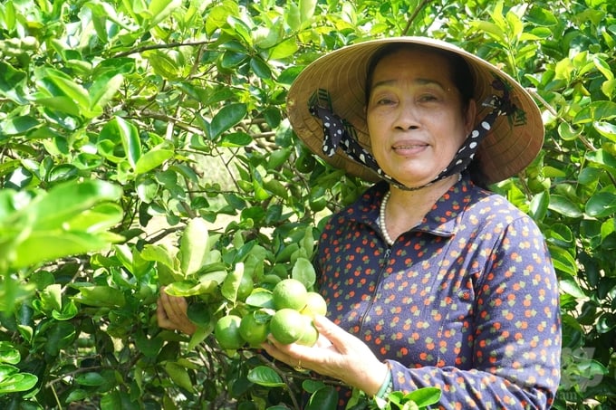 phong-dien-ra-mat-xa-nong-thon-moi-kieu-mau-dau-tien-164855_151-164857.jpg Hiện nay, xã Trường Long đã xây dựng được 2 vùng nguyên liệu tập trung với 2 sản phẩm nông sản chủ lực là vú sữa và chanh không hạt, tổng quy mô 85ha. Ảnh: Kim Anh.