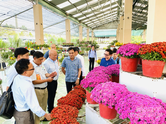 Trong những năm qua, Sa Đéc đã không ngừng đầu tư, nâng cấp, kết cấu hạ tầng kinh tế - xã hội, đẩy nhanh tiến trình đô thị hóa, thực hiện nhiều dự án nhằm phát huy lợi thế, tiềm năng du lịch và đưa du lịch trở thành ngành kinh tế quan trọng. Ảnh: Lê Hoàng Vũ.