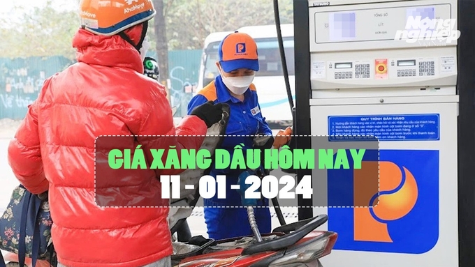 gia-xang-dau-hom-nay-151858_344.jpg Cập nhật giá xăng dầu mới nhất hôm nay 11/1/2024