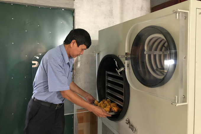 Trà hoa vàng được áp dụng công nghệ sấy thăng hoa để giữ được màu sắc và hương vị. Ảnh: Minh Hậu.