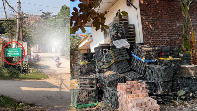 Đầu mối buôn chim trời và động vật hoang dã nằm đối diện UBND thị trấn Kim Long, huyện Tam Dương, tỉnh Vĩnh Phúc. Ảnh: Hùng Khang.