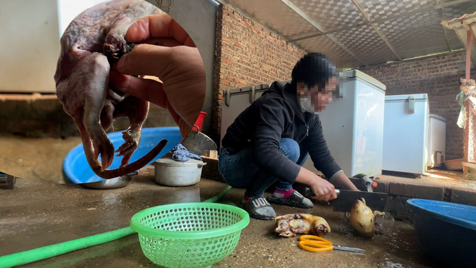 Những con thú rừng bị giết mổ và những chiếc tủ lạnh chứa đầy chim trời, thú rừng. Ảnh: Hùng Khang.