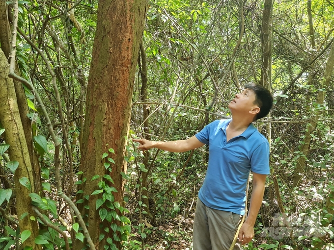 z5053872797282_9bd304475c60f33d2505e5196985b306-110418_910-110418.jpg Khu vực núi Chùa Tung được UBND tỉnh Thái Nguyên giao cho Công ty TNHH Bê tông xây dựng Việt Cường được khai thác làm vật liệu san lấp bằng phương pháp lộ thiên khiến người dân bức xúc. Ảnh: PV.