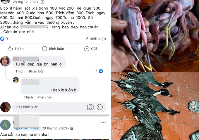 Tham gia vào các nhóm kín đó chúng tôi choáng ngợp trước tốc độ tàn sát thiên nhiên thật khủng khiếp. Ảnh: Hùng Khang.