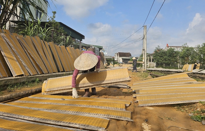 Mỗi mẻ bánh phơi nắng khoảng 2 giờ đồng hồ là khô để đóng bao. Ảnh: T. Đức.