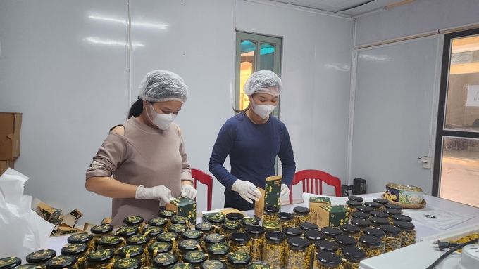 Đóng gói sản phẩm hoa cúc chi sau khi đã được sấy lạnh ở Hưng Yên. Ảnh: Đinh Mười.