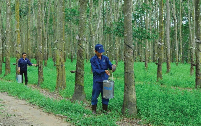 x_bcbi-160247_633.jpg Doanh thu của Công ty Cổ phần Cao su Thống Nhất đến từ bán mủ cao su đạt trên 91 tỷ đồng, tăng 101%.