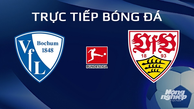 truc-tiep-bong-da-bochum-vs-stuttgart-20-1-171815_682.jpg Trực tiếp bóng đá Bundesliga 2023/24 giữa Bochum vs Stuttgart hôm nay 20/1/2024