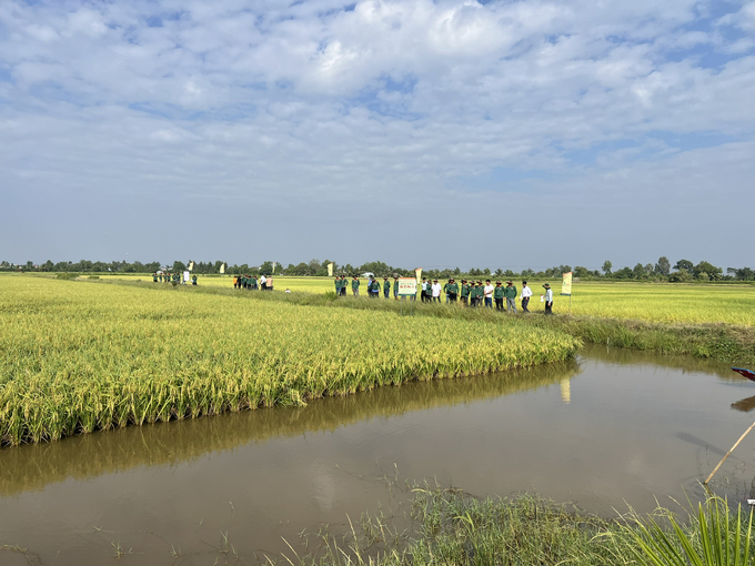 z5098186102607_049732a0245e99a897b9264fa451f6db-132058_185.jpg Công ty Cổ phần Giống Cây Trồng Miền Nam (SSC) tổ chức hội thảo tại xã Ninh Thạnh Lợi A, huyện Hồng Dân. Ảnh: Trọng Linh.