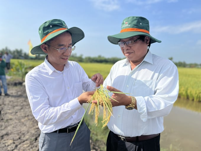 z5098186123780_709865ee6a1507c0d90dffba50bac8dd-132059_584.jpg Ông Trần Văn Na (bên phải), Chi cục trưởng Chi cục Trồng trọt và BVTV Bạc Liêu và ông Nguyễn Quốc Phong - Phó Tổng Giám đốc Công ty Cổ phần Giống cây trồng Miền Nam. Ảnh: Trọng Linh.