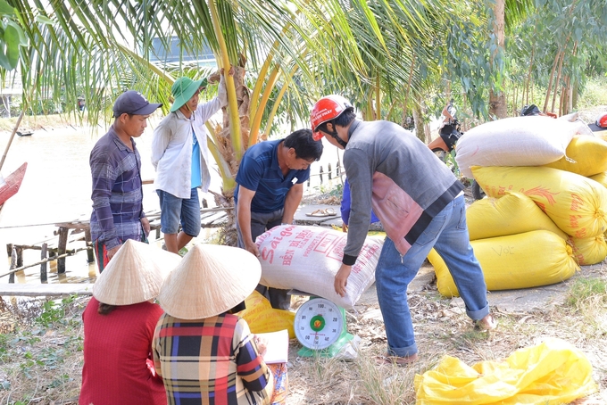 z5108150979326_d6f4fc2595741a53aaeb5c26a2f62519-164425_614.jpg Không chỉ trúng mùa, vụ lúa - tôm đông xuân năm nay, lúa còn được doanh nghiệp liên kết, bao tiêu với giá rất cao. Ảnh: Diễm Trang.