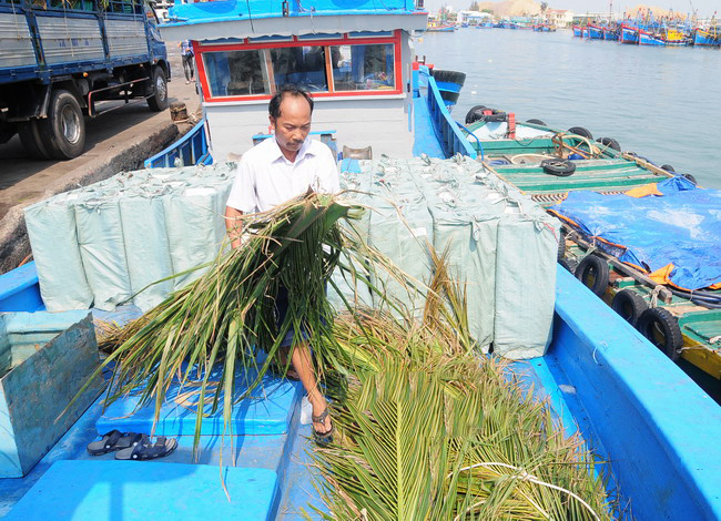 Ngư dân phường Hoài Hương (thị xã Hoài Nhơn, Bình Định) cập cảng cá Quy Nhơn chở vật liệu để ra ngư trường Trường Sa đặt thêm chà dụ cá. Ảnh: Ngọc Thuận.