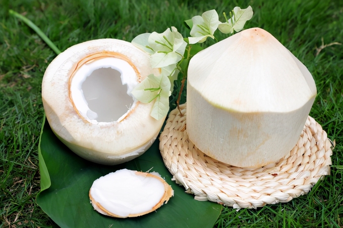 Dừa được xem là ngành hàng 'tỷ đô', có thể giúp rau quả Việt Nam tiếp đà tăng trưởng trong năm 2024, nếu được xuất chính ngạch sang Trung Quốc.