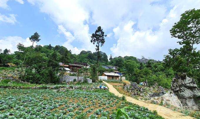 20230519_094758-085356_358-085357.jpg Những ngôi nhà nằm chèn vào đá, chen lẫn những luống rau, nương ngô. Ảnh: Đào Thanh.