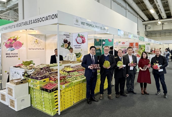 rau-qua2-014118_642.jpg Các doanh nghiệp xuất khẩu trái cây của Việt Nam tham gia Fruit Logistica 2024. Ảnh: Vinafruit.
