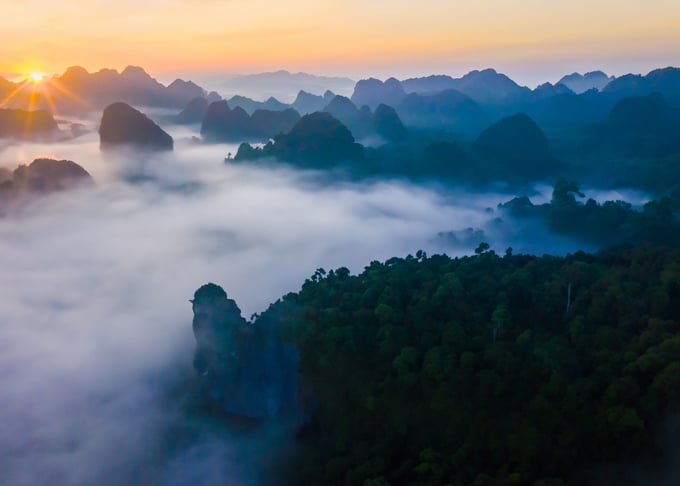 Vườn Quốc gia Cúc Phương -  Điểm hẹn của tình yêu thiên nhiên.