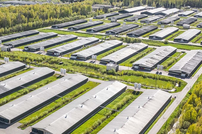 Russian authorities have published a draft decree under which the compartmentalisation system will be put in place on 1 March 2025. Photo: Canva