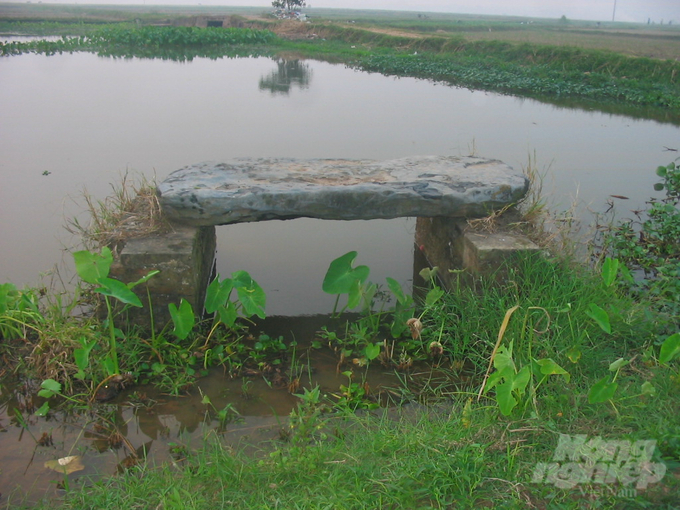 a1-183428_451-183428.jpg Phiến đá cổ tuổi đời ngàn năm tại vùng quê Thái Bình. Ảnh: TL.