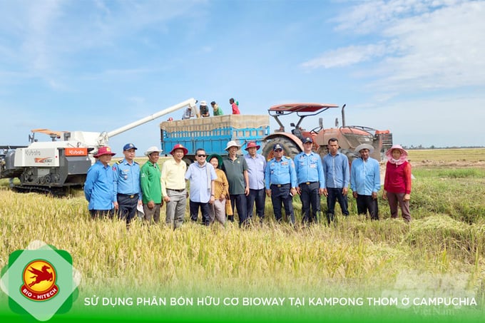 Nông dân tại Campuchia sử dụng phân bón hữu cơ Bioway. Ảnh: Thanh Liêm.