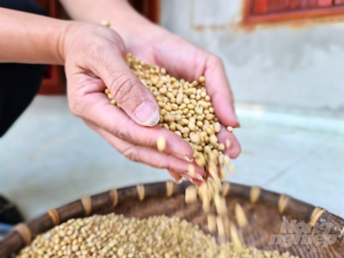 z4976931570421_8cc9c9c5ccfb9a283fc669d0b10976af-155210_393-155211.jpg Hạt đỗ cúc bóng ở huyện Võ Nhai cho chất lượng thơm ngon nổi tiếng. Ảnh: Đào Thanh.
