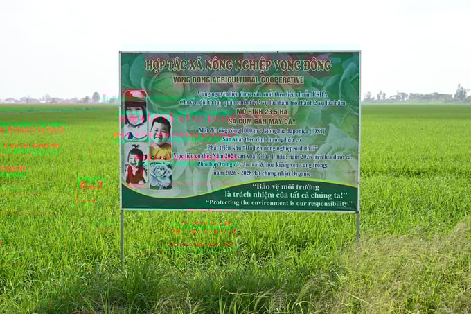 htx-vong-dong-khat-khao-theo-duoi-dinh-huong-canh-tac-lua-ben-vung-012934_275.jpg Mô hình 23,5ha lúa sạ cụm tại HTX Vọng Đông. Ảnh: Quỳnh Chi.