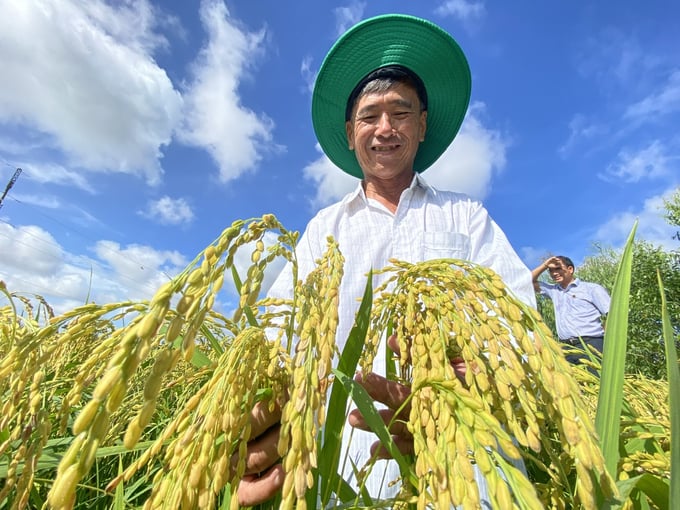 htx-vong-dong-khat-khao-theo-duoi-dinh-huong-canh-tac-lua-ben-vung-095936_744.jpg Nông dân đóng vai trò quan trọng, được coi là chủ thể của quá trình phát triển. Ảnh: TL.