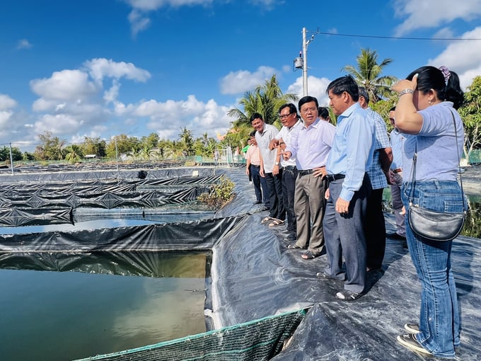 Bí thư Tỉnh ủy Cà Mau Nguyễn Tiến Hải cùng Phó Chủ tịch UBND tỉnh Lê Văn Sử khảo sát thực tế tại hộ ông Huỳnh Thái Nguyên, ấp Rau Dừa B, xã Hưng Mỹ, huyện Cái Nước. Ảnh: Trọng Linh.