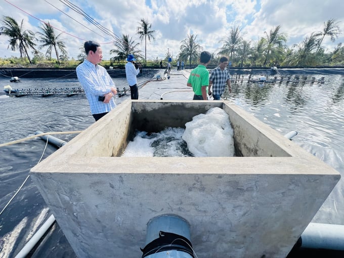 Mô hình nuôi tôm thẻ chân trắng tuần hoàn nước 3 giai đoạn của hộ ông Nguyên. Ảnh: Trọng Linh.
