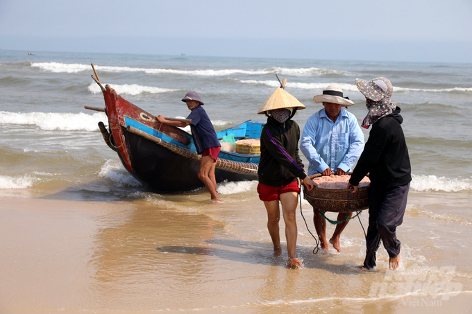 z5184859253901_4fc95cc20b13ba24d8919b095b28d74d-111451_11-111451.jpg Những chiếc thuyền công suất nhỏ cập bờ đầy ắp ruốc biển mang lại niềm vui và nguồn thu nhập cho ngư dân vùng bãi ngang. Ảnh: VD.