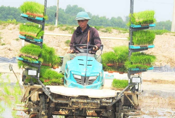 5-145230_701-145231.jpg Thông qua chính sách kích cầu của chính quyền địa phương và 'bàn tay' đỡ đầu của HTX, đất ruộng bỏ hoang hoặc sản xuất kém hiệu quả ven đô được tích tụ thành cánh đồng lớn, sản xuất cùng giống, cùng thời vụ, giảm thiểu sức lao động cho nông dân. Ảnh: Thanh Nga.