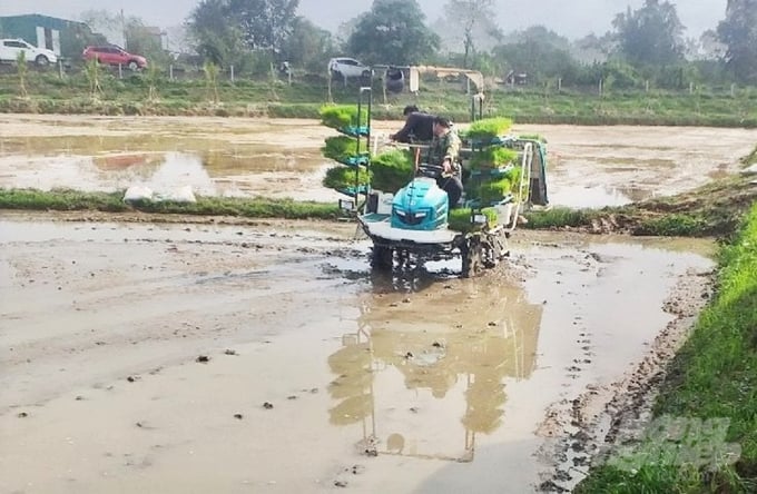ghep-145245_780-145246.jpg Xứ Đồng Tùng rộng 4,5ha ở phường Đại Nài đã xây dựng thành công mô hình lúa rạm, lúa rươi trong nhiều năm qua. Trong vụ xuân 2024 tiếp tục đưa dịch vụ mạ khay - cấy máy vào canh tác nhằm nâng cao giá trị kinh tế trên đơn vị diện tích. Ảnh: Thanh Nga.