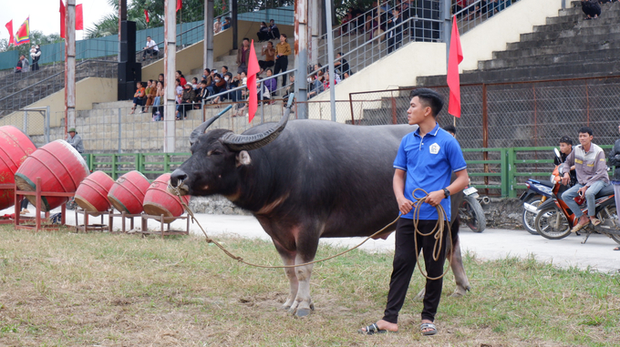 Những 'ông Cầu' đều phải được lựa chọn kỹ càng từ khắp các địa phương trên cả nước. Ảnh: Minh Toàn.