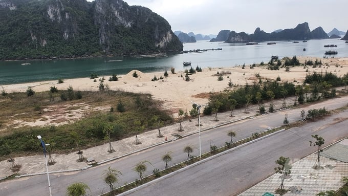 z5234721078752_e7055e51e5be01128b27bb519f48f350-100235_461-100236.jpg TAND quận Cầu Giấy cho biết chuẩn bị đưa ra xét xử vụ viện công ty Quan Minh khởi kiện Ngân hàng MB.