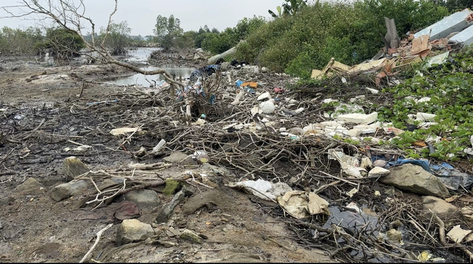 z5239857953012_0ee5b7c61bfa7b9c747e63ab52afc76f-221912_760.jpg Rác thải từ biển dạt vào khu rừng ngập mặn gây ô nhiễm. Ảnh: L.K.