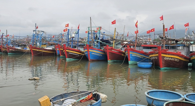 Đội tàu đánh cá sẵn sàng đón 1 mùa biển bội thu. Ảnh: T. Đức.