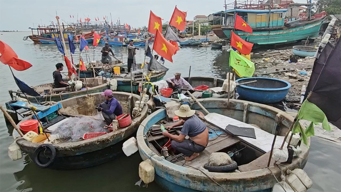 Đội thuyền thúng ra vùng lộng cũng có thu nhập cao mỗi ngày. Ảnh: T. Đức.