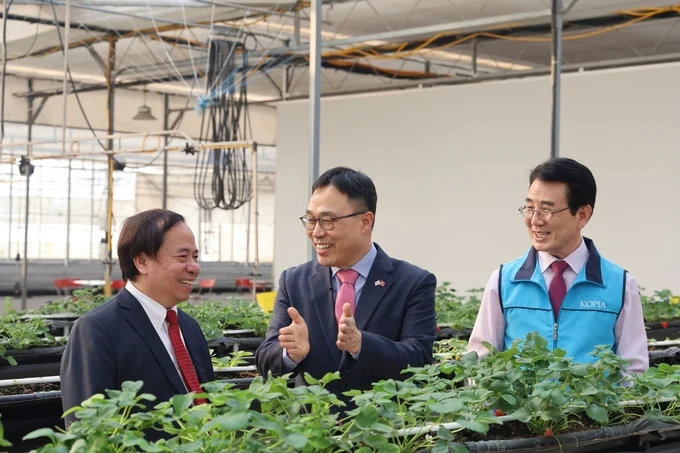 Prof. Dr. Nguyen Hong Son (far left), Director of VAAS and Korean partner. Photo: Documents.
